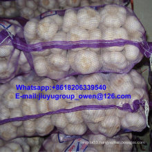 Prompt Shipment New Crop Raw Normal/Pure White Garlic